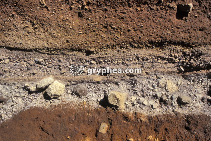 Puy de Lemptégy - cinérites et traces d'une ancienne nuée ardente - gryphea.com